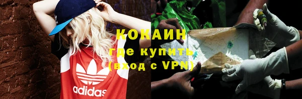 стафф Алзамай