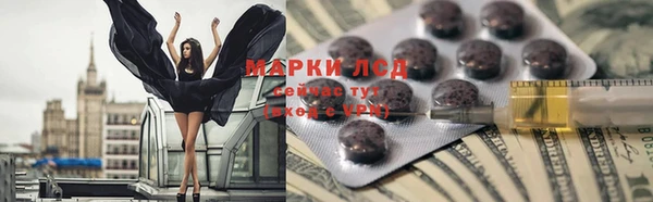 стафф Алзамай