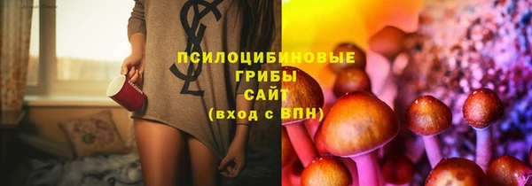 соль курить ск Алексеевка