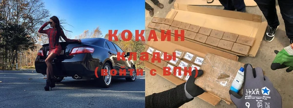 стафф Алзамай