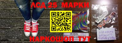 спайс Владимир