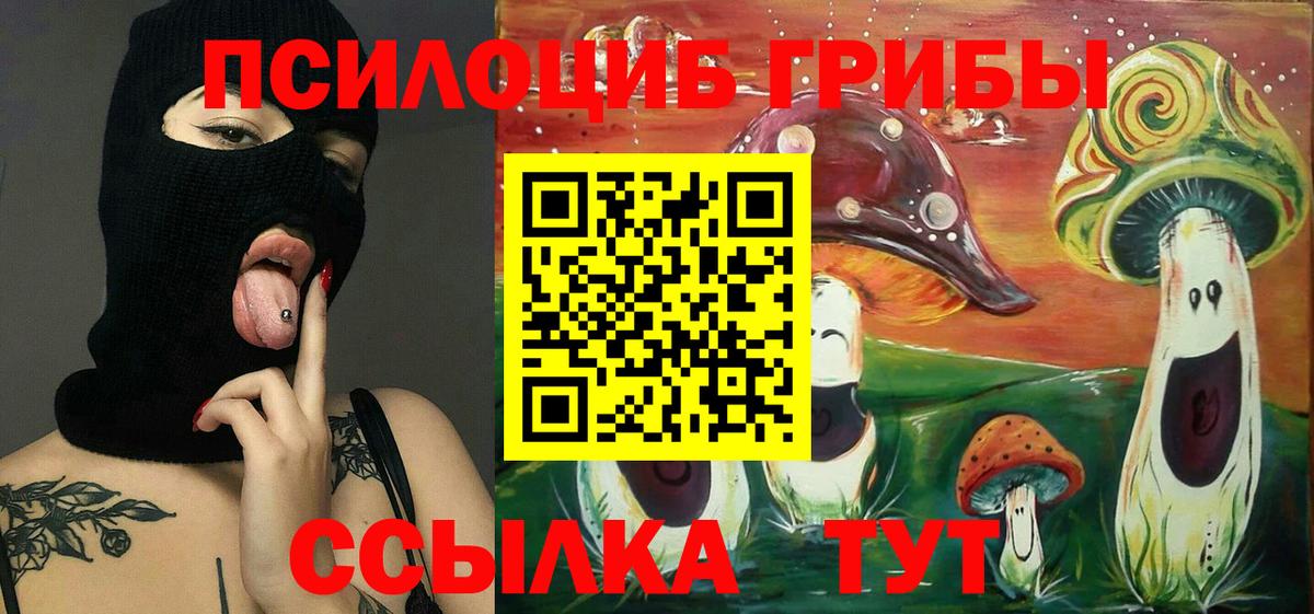 Галлюциногенные грибы GOLDEN TEACHER Балабаново