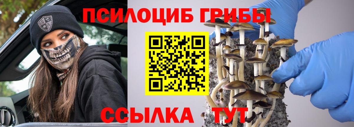 Псилоцибиновые грибы MAGIC MUSHROOMS  Вход с VPN  Псилоцибиновые грибы ЛСД  Балабаново 
